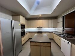 Four Seasons Park (D10), Condominium #550577461